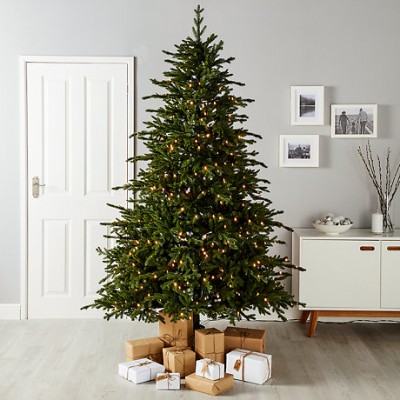 Χριστουγεννιάτικα Δέντρα 2018-2019